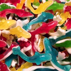 Jake requin lisses ( 100g)